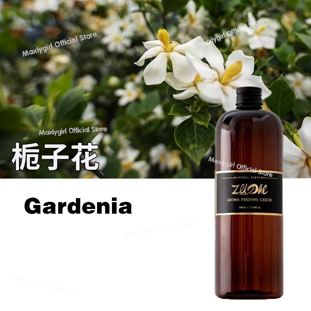 500ml Reverse Parigi Five Hote - Perfume Fragrance Essence recensione e prezzo
