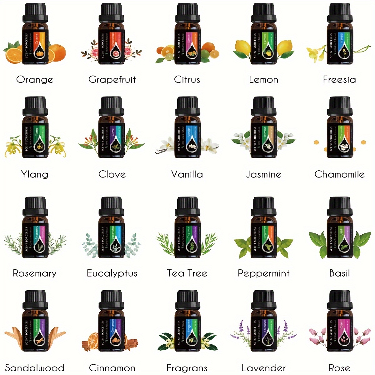 20 pz/set Nero Classico Set di - Perfume Fragrance Essence recensione e prezzo